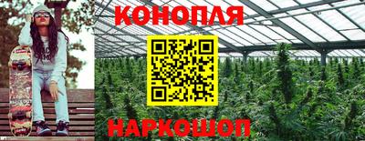 Альфа ПВП Донской