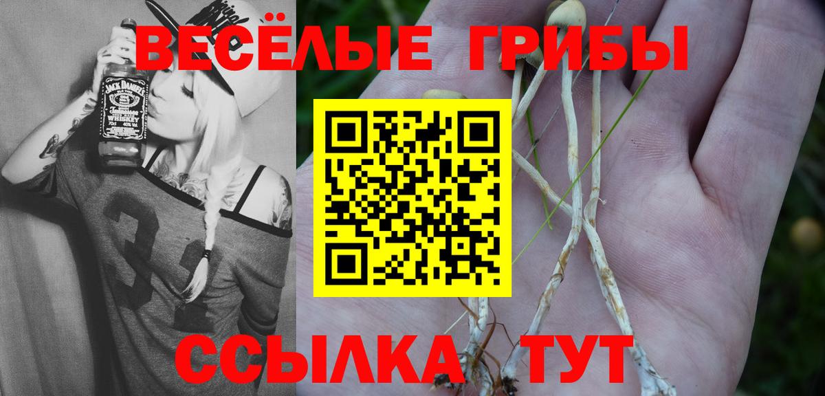Галлюциногенные грибы мицелий Кинель