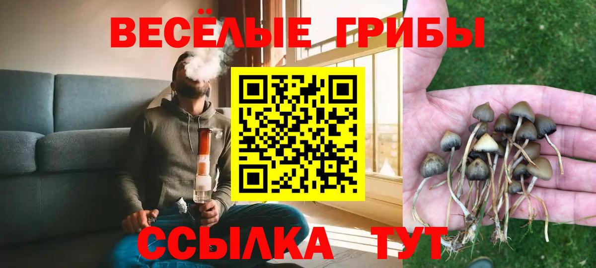 Псилоцибиновые грибы Cubensis  Вход с VPN  продажа наркотиков  Кинель 